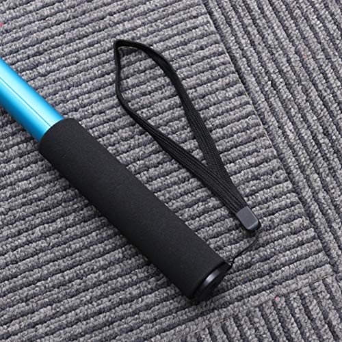 Tehaux Brinquedo interativo para cães extensível, varinha para animais de estimação, flerto mastro d