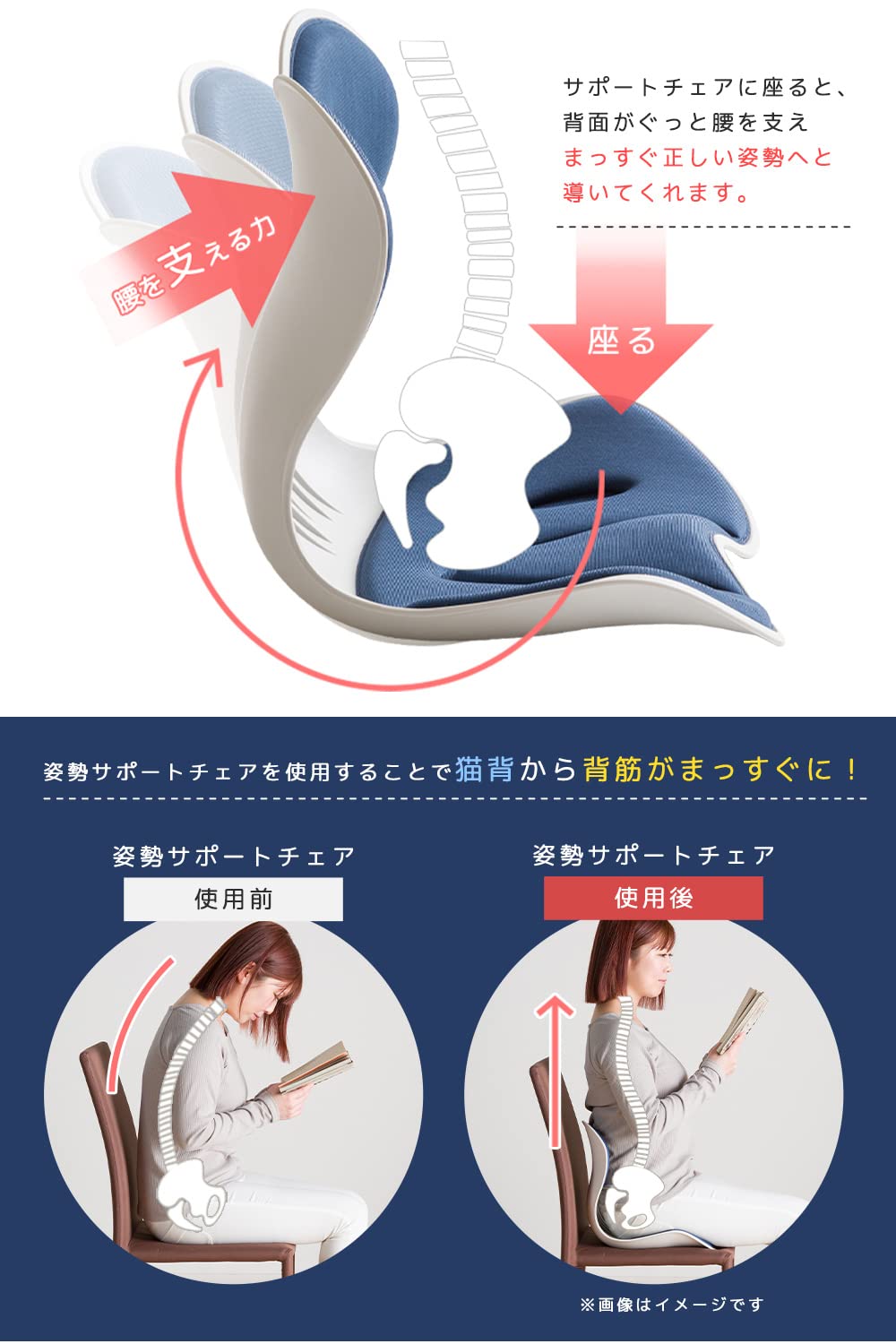 Amazon｜システムK 姿勢サポートチェア 【座るだけで正しい姿勢を