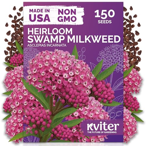 KVITER 150 Swamp Milkweed Seeds (Asclepias Incarnata) - Rose Milkweed Heirloom Perennial Wildflower Pink Blooms Butterfly and Honeybee Pollinator - Flower Seeds in Seed Packets for Outdoor Gardens