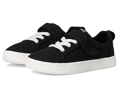 TOMS Kids Cruz Lace-Up (Little Kid/Big Kid) Kid