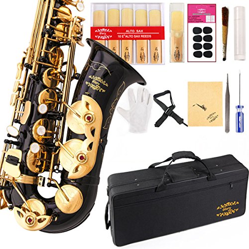 Glory BlackNickel Engraved Flowers Laquer E Flat Alto Saxophone with 11reeds,8 Pads cushions,case,carekit