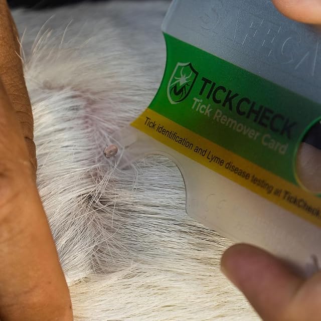 Foto 7 de 8 de TickCheck Tarjeta removedor de garrapatas (Herramienta de eliminación de garrapatas tamaño Billetera) Envase…