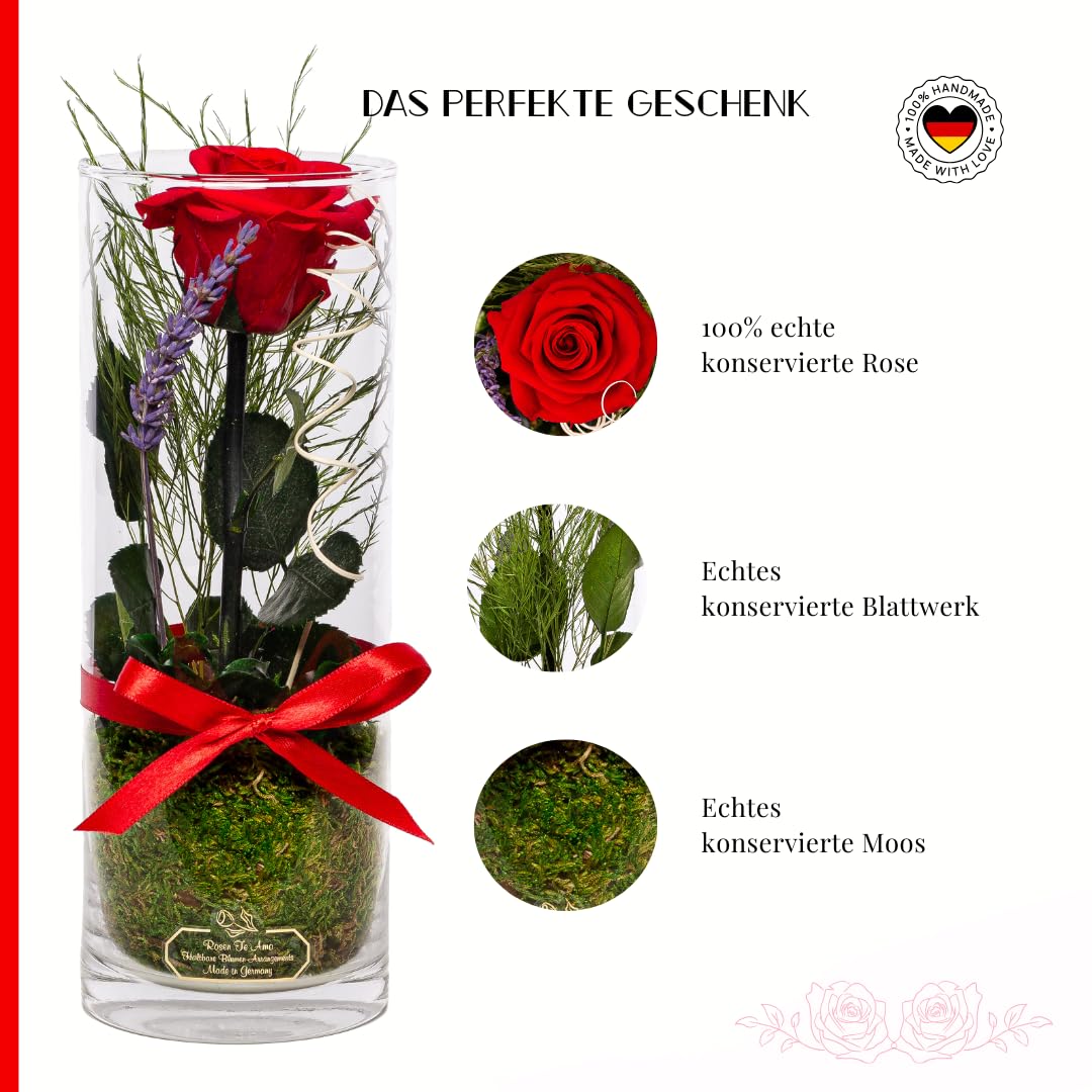 Rosen-Te-Amo | regalo festa della Mamma | rosa stabilizzata vera profumata con stelo in vaso per fiori in vetro | scatola dal design raffinato || Composizioni artigianali rosa eterna| regalo donna