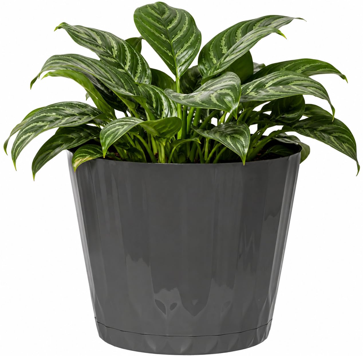 Muddy Hands Decorative Black Plant Pot with Clip-On Saucer – Indoor & Outdoor Round Plastic Planter for Flowers, Herbs & House Plants, Stylish Durable Flower Pot with Drainage Holes (1, 5.5 Litre)