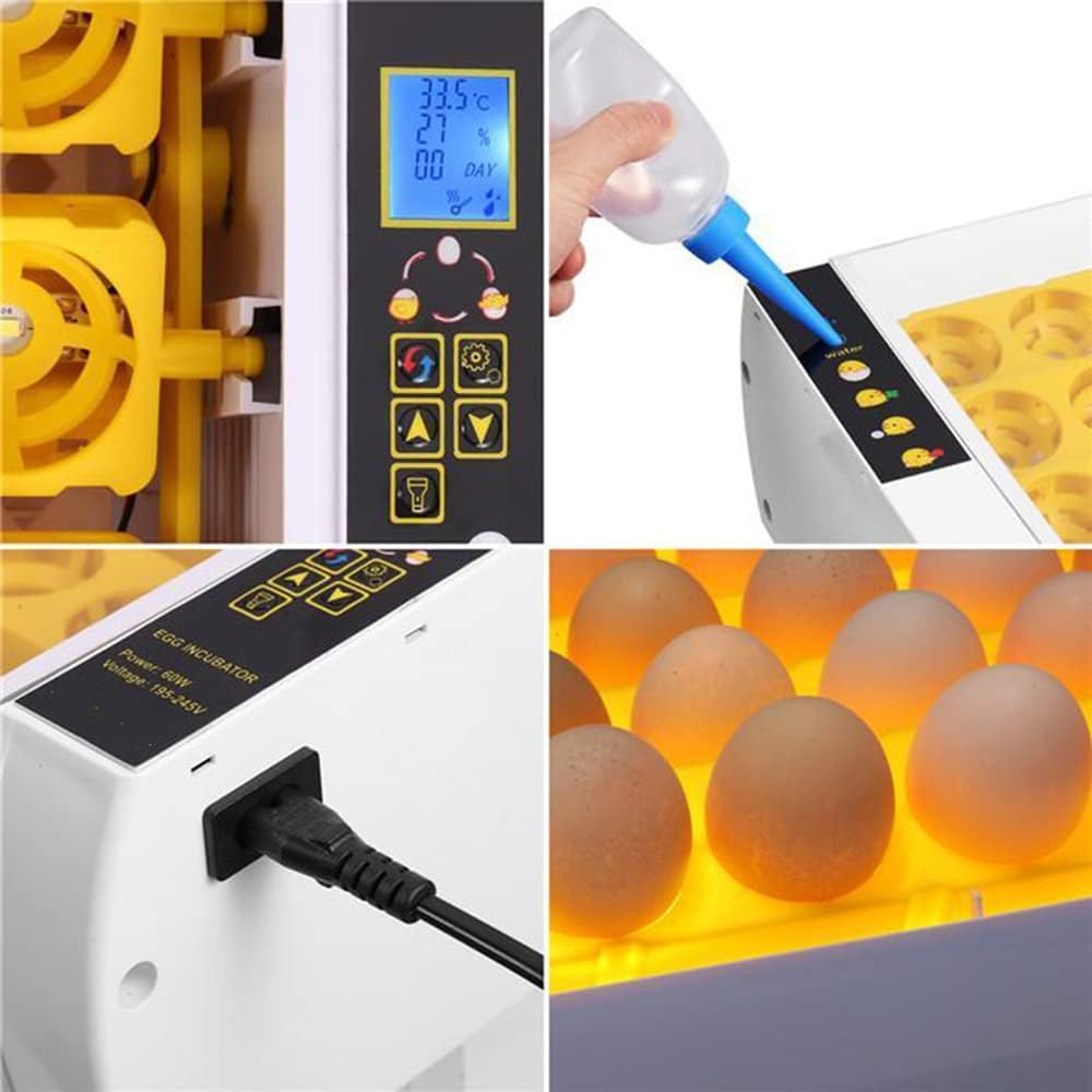 Incubadora de Huevo Digital Inteligente Turner automático de 24 capacidades con Monitor led para Ganso de Pato de codorniz de Pollo - Máquina de criadero de visión Clara