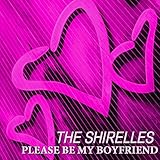 Please Be My Boyfriend