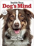 Inside Your Dog's Mind: What They Really Think