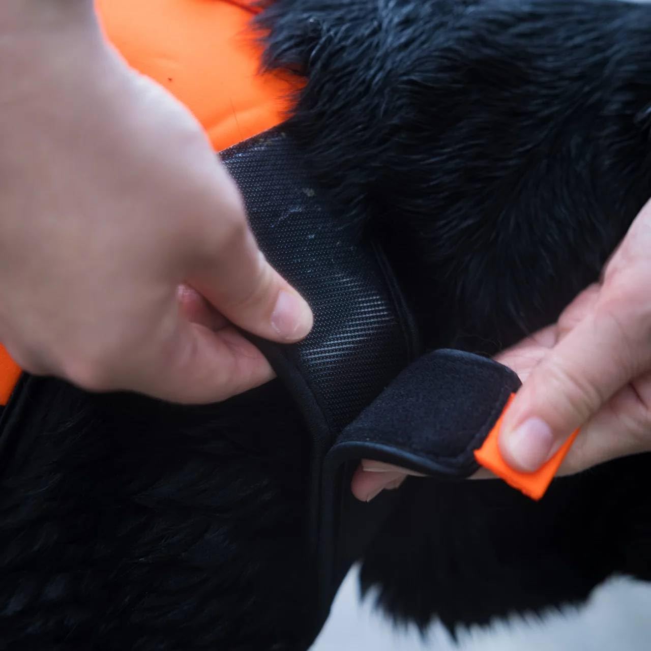 Non-stop dogwear Protector Neopren Hundeweste, Orange/Schwarz, Wasserdicht, Mit Reflektierenden Streifen, Klettverschluss, Für Outdoor und Sicherheit, XS-XL (S)