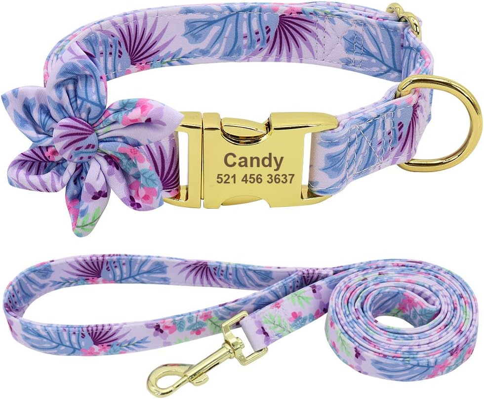 Forestpaw Multi-Colored Dog Collar and Leash Set,Custom Personalized Engraved Collars,Adjustable Id Collars,for Small,Medium,Large,French Bulldog,Yorkies,Teddy,Labrador,Beagles,Border Collie,Samoyed