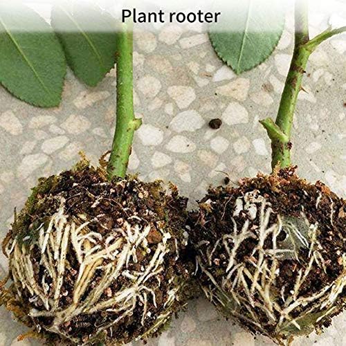 Nicejoy Plant Rooting Device Plant Rooting Ball High-pressure Propagation Ball Rooter Box Reusable Box Grafting Botany Root Controller for Garden Rooting Growing Breeding White L 5pcs