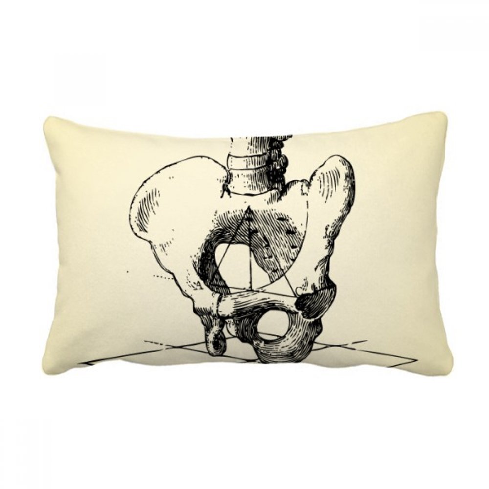Coussin squelette humain multicolore pour décorer votre canapé