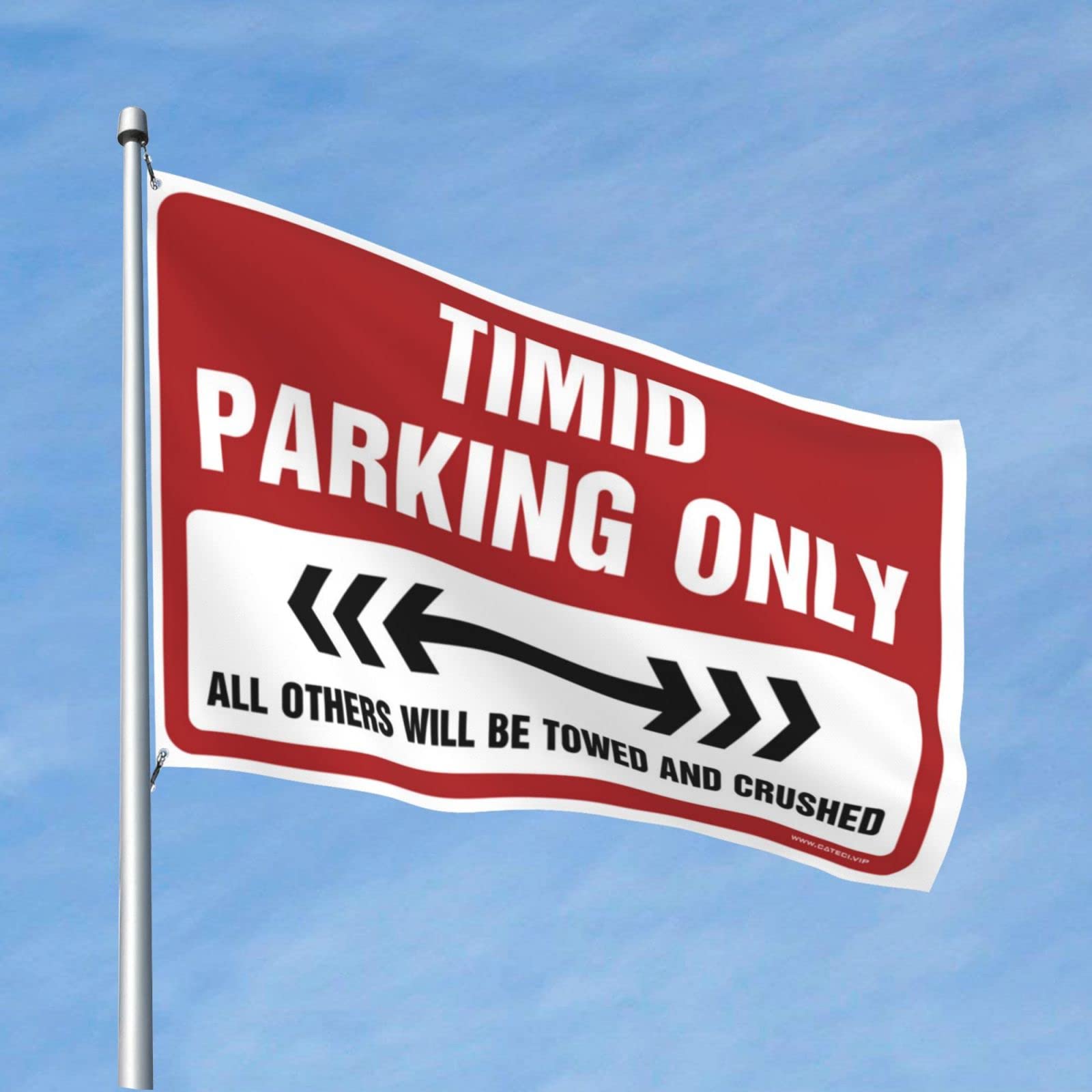 Drapeaux pour chambre humoristique Timide Parking Only grand format - 6