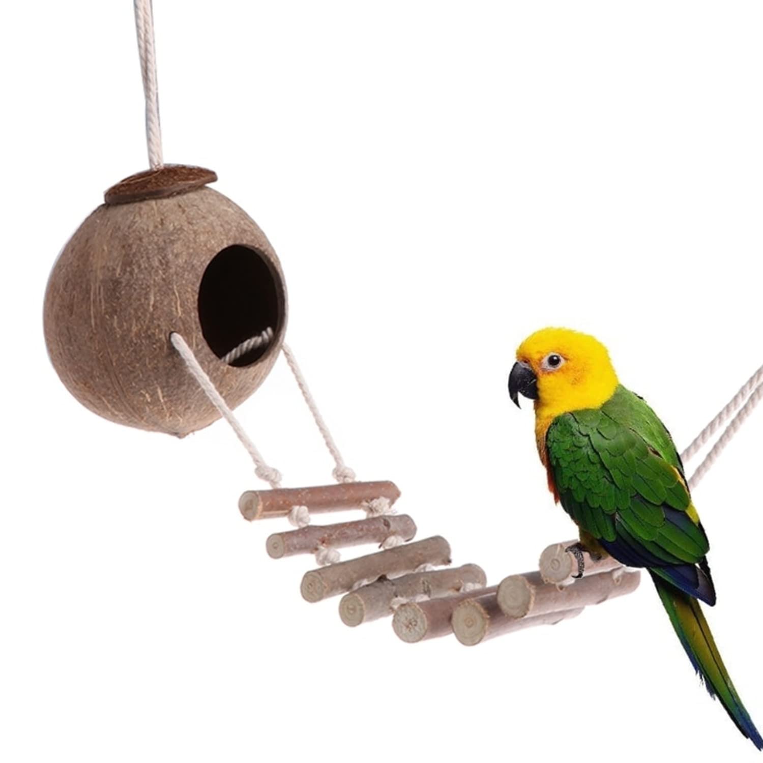 Careopeta Coconut Shell Bird nest with Ladder Bird nest for cage, House, Balcony Bird House for Garden Hanging(1 pc) (B09PYR2BRW) Amazon Price History, Amazon Price Tracker