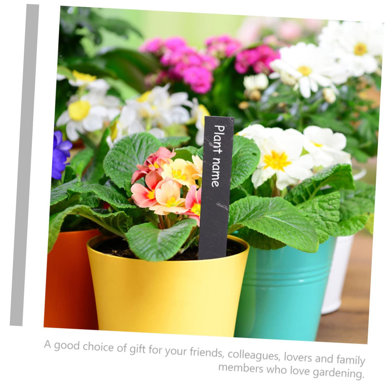 12 Stück Schiefer-pflanzenschilder Pflanzenmarkierungen Gartenstecker Gartenornamente