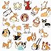 Welsh Corgi Pembroke Stickers for Water Bottles 50 Pack Cute,Waterproof,Aesthetic,Trendy Stickers for Teens,Girls Perfect for Waterbottle,Laptop,Phone,Travel Extra Durable Vinyl (Welsh Corgi Pembroke)
