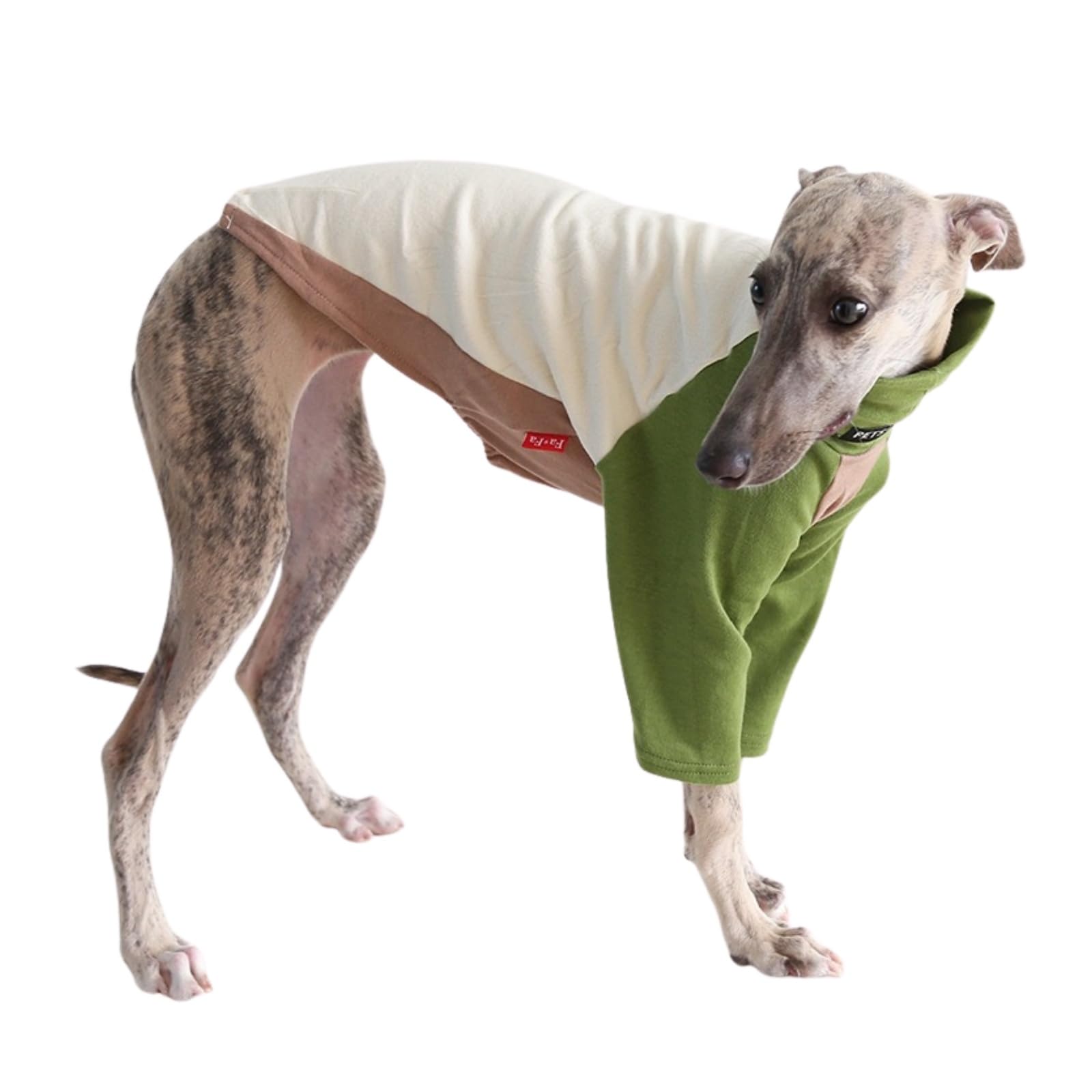 Italian Greyhound Whippet T-Shirt Jumper,Dog Tri-Color Sweatshirt Sighthounds Autumn Winter Spring Coat Skinny Dog Pullover Pajamas_M(Green White)