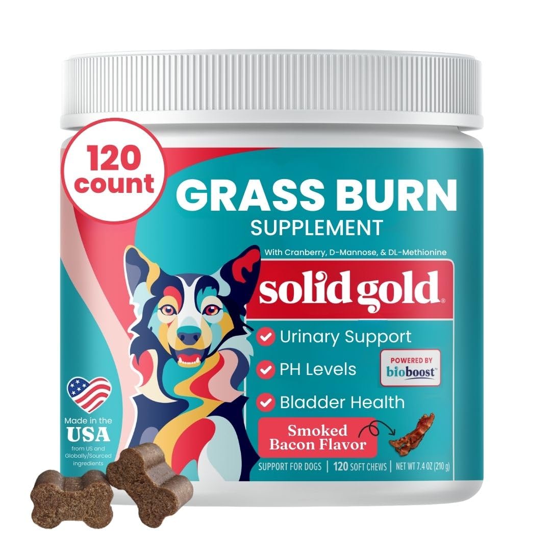 Solid Gold Dog Pee Grass Repair Chews - Dog Urine Neutralizer for Lawn w/Urinary Tract, Kidney, Bladder & pH Support to Reduce Grass Pee Spots & Burn - Pet Urine Neutralizer Treats - Bacon - 120ct