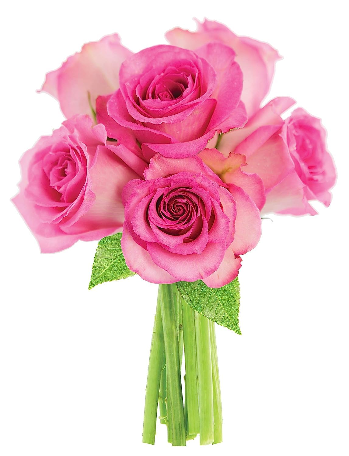 KaBloom PRIME NEXT DAY DELIVERY - Fall Collection - Pink Roses 6 with Greens Bouquet.Gift for Birthday, Sympathy, Anniversary, Get Well, Thank You,