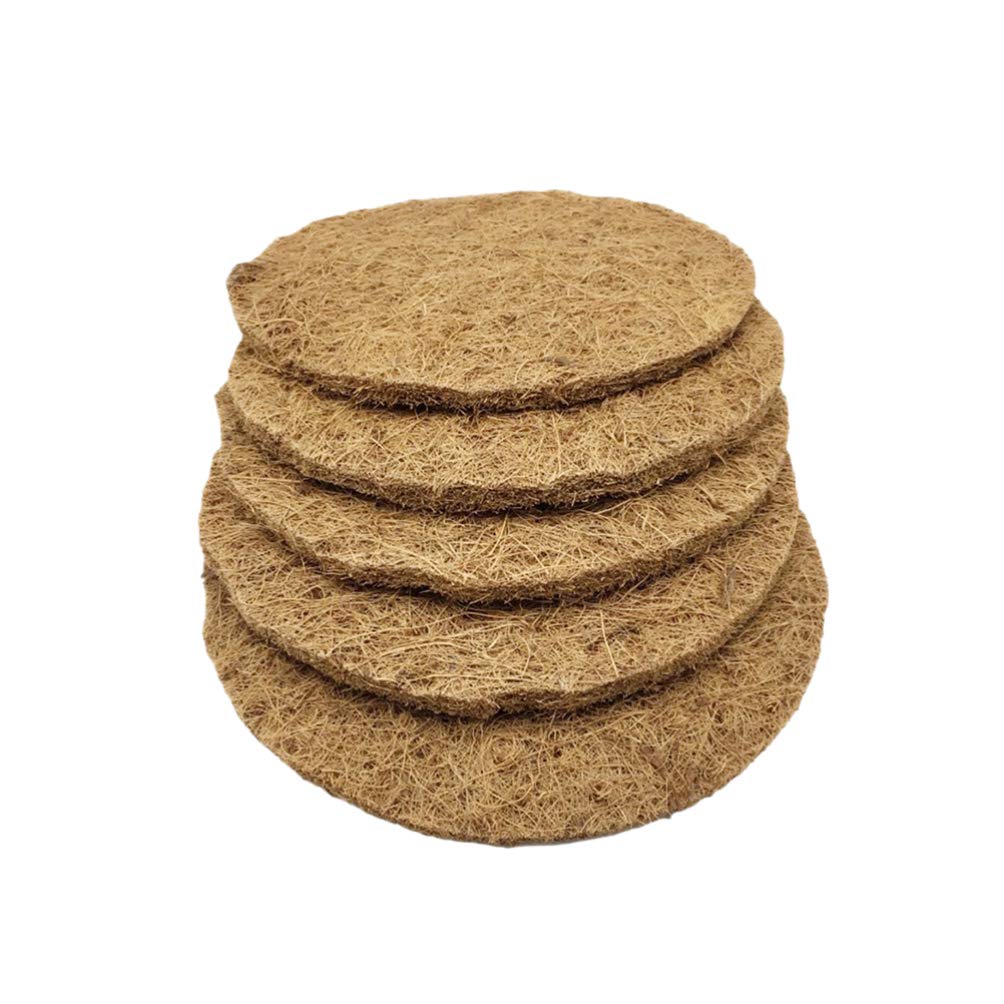 10 Best Pigeon Bird Litter for a Clean and Healthy Coop Hummingbirds Plus