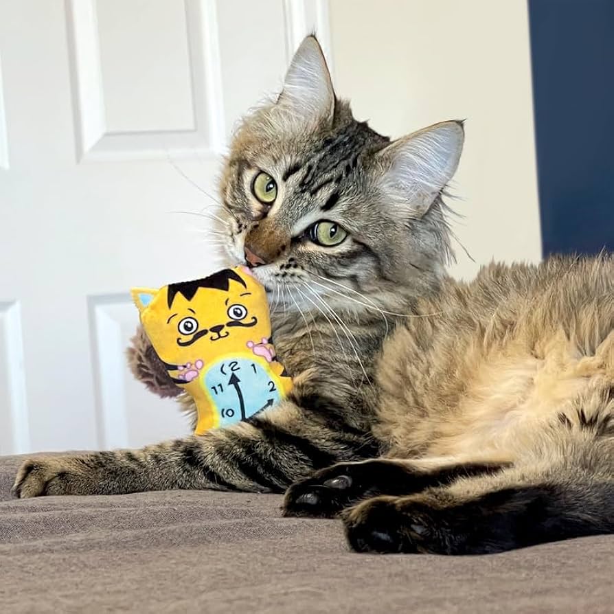 新品 KATZE 3 CD Katze/3 Cd Set Limited Katze | eBay