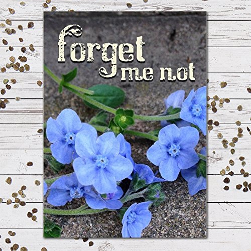 Chinese Forget-Me-Not Seed Packet Favors (F07) 