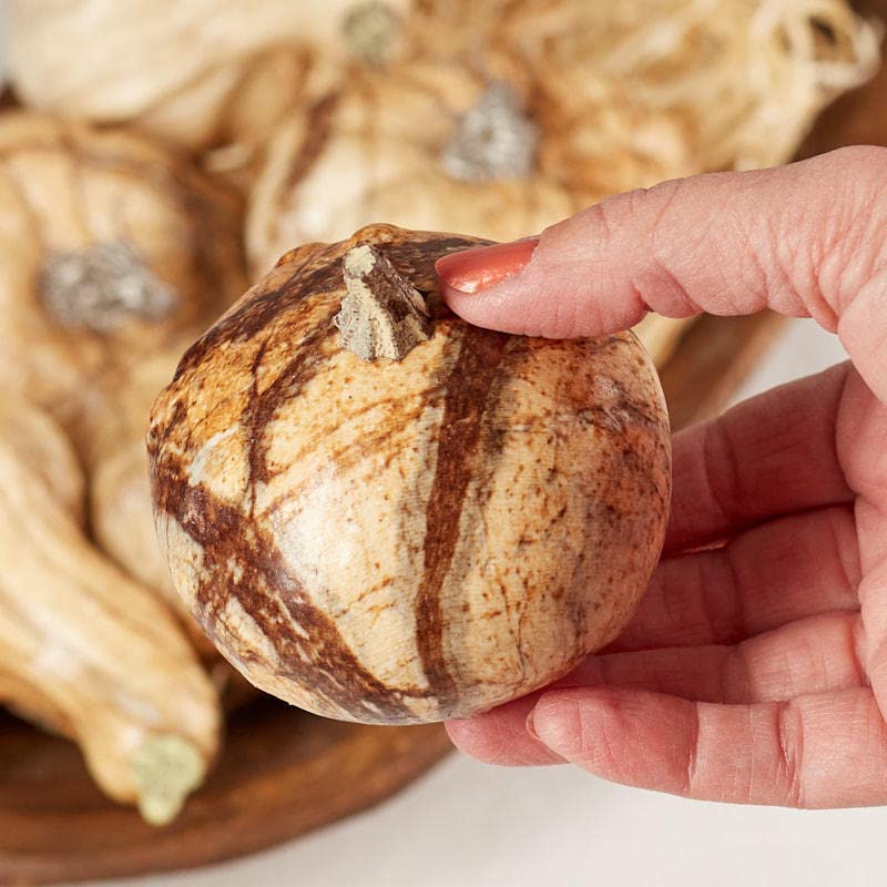 Factory Direct Craft Set of 6 Marble Look Artificial Pumpkins and Gourds for Fall Decorating and Displays