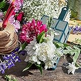 Soporte para jaula de espuma floral, jaulas de espuma con rectángulo de espuma floral