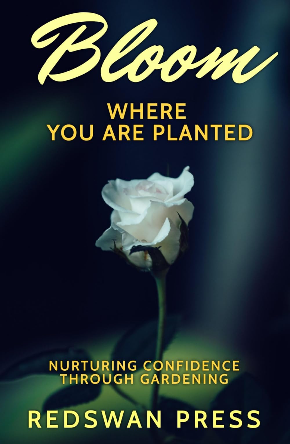Bloom Where You Are Planted: Nurturing Confidence Through Gardening: 2 (The Success Series)