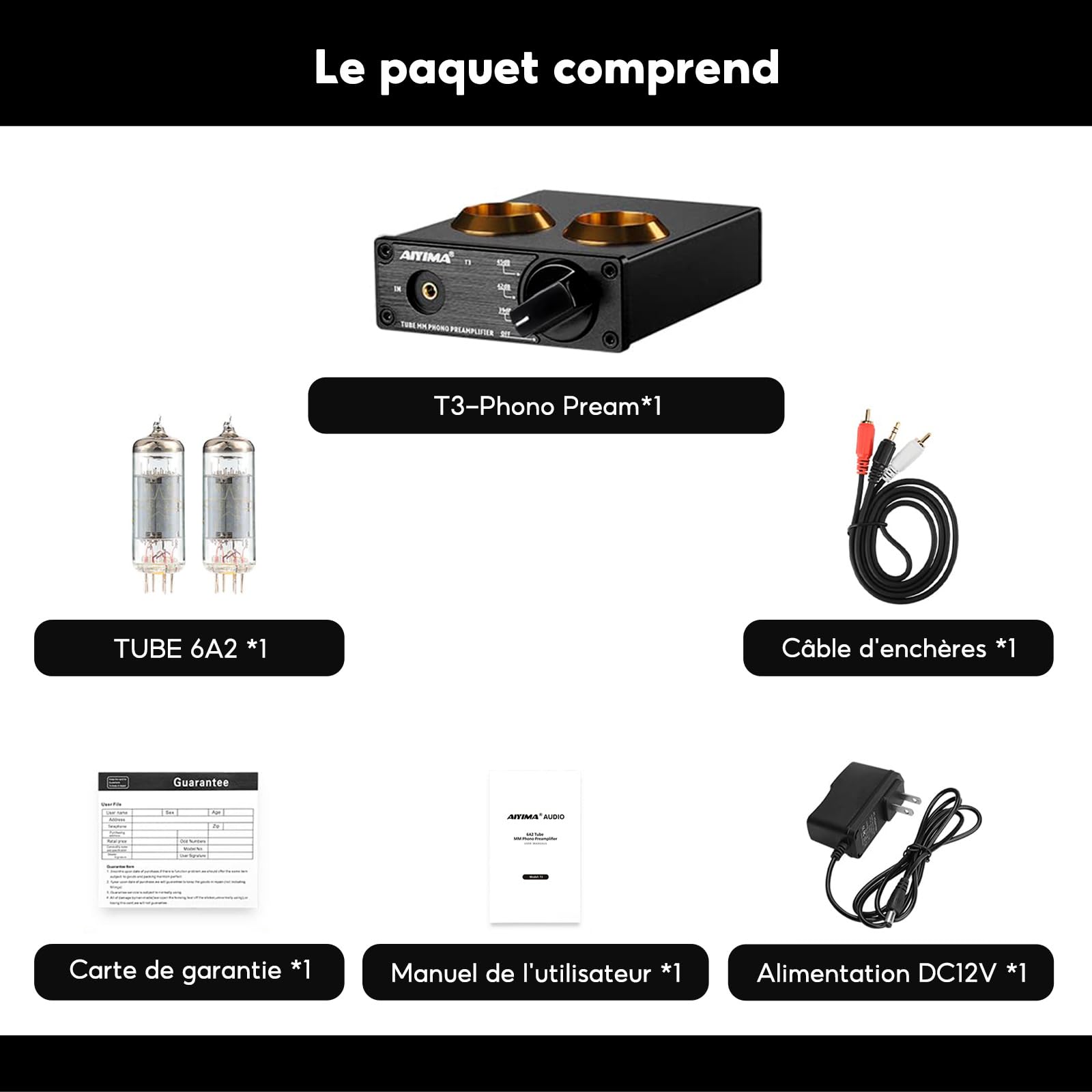 AIYIMA T3 Tube MM préamplificateur Phono préampli HiFi avec gain préampli Audio stéréo pour platine vinyle phono Audiophile/tourne-disque