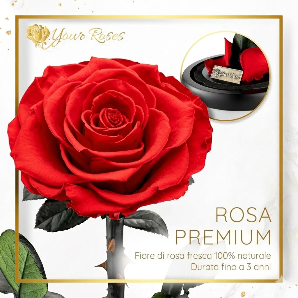 YourRoses - Rosa infinita, in barattolo, con scatola regalo per lei, moglie, fidanzata, idea regalo, San Valentino, festa della mamma, compleanno, anniversario di matrimonio, Natale, anniversario