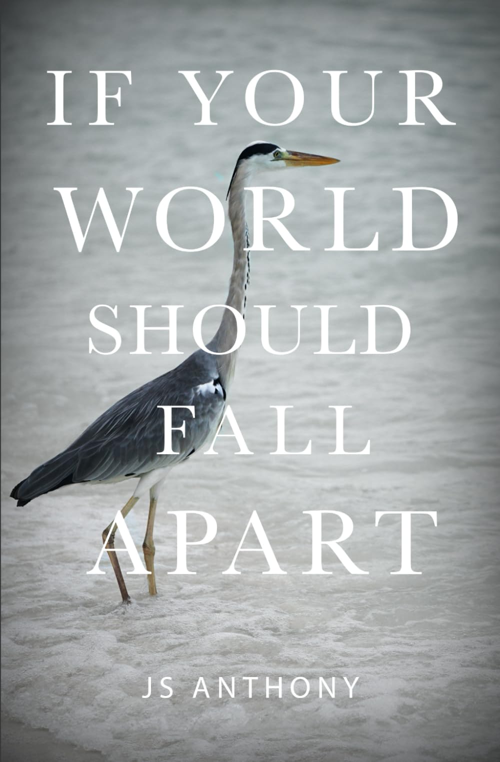 If Your World Should Fall Apart