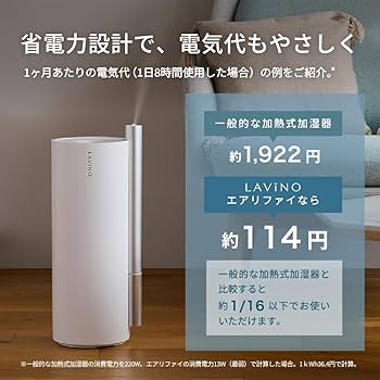 Amazon.co.jp: 【4重除菌 2026年版】LAViNO (ラビーノ