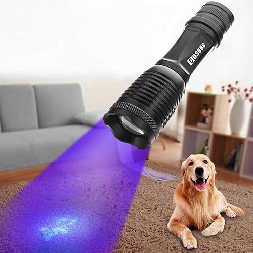 Miniatura 8 de COSOOS Paquete de 2 linternas UV de luz negra, linterna táctica LED 2 en 1 y detector de orina de mascotas de luz negra de 395 nm para orina de
