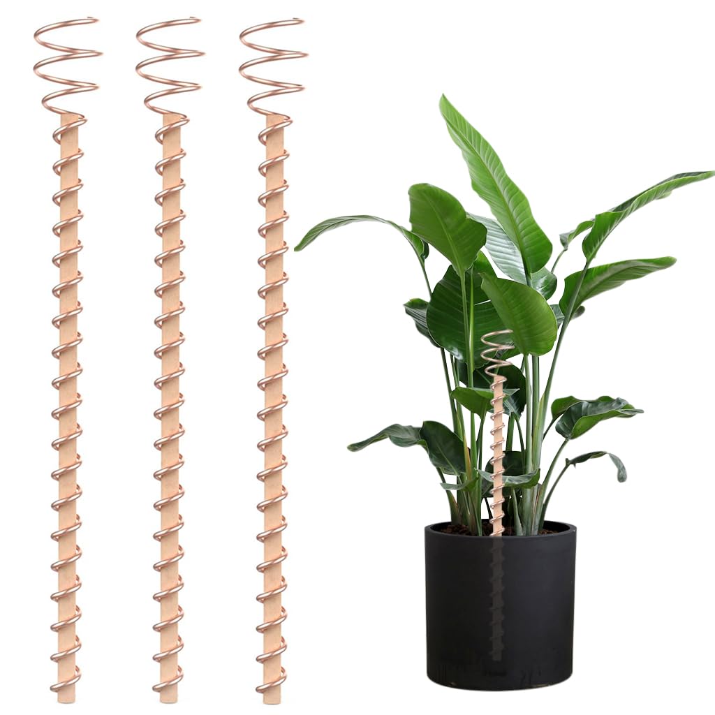 HASTHIP® 3Pcs Copper Wire Plant Supports for Enhanced Atmospheric Energy Garden Electroculture Plant Stakes With Spiraled Copper Wire 11 inches Training Sticks for Edible Greens,Pothos-image-18