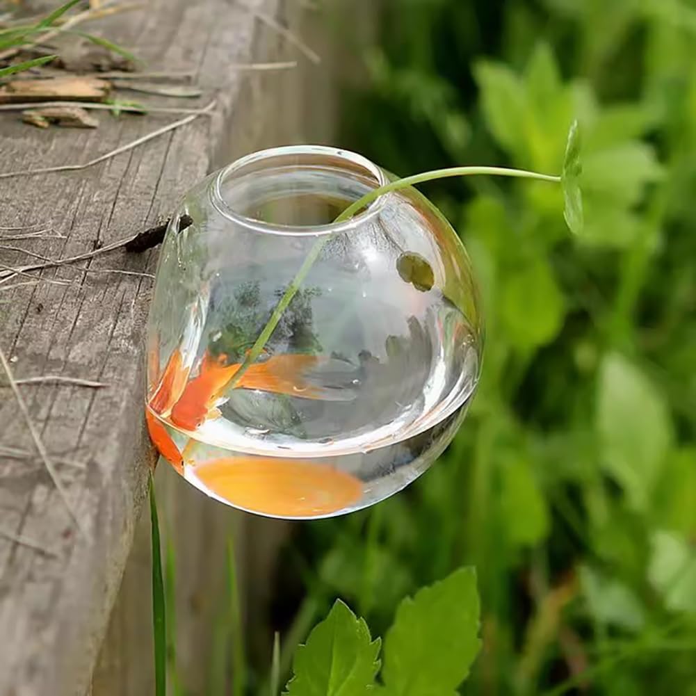 2PC Mini Hanging Fish Bowl,Wall-Mounted Glass Fish Tank,Hanging Bowl for Water Plants,Transparent Betta Tank,Irregular Shaped Fishbowl,Living Room Decoration,C