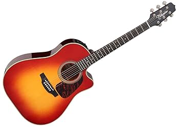 Amazon.com: Takamine CP6SSDC 6 Strings Dreadnought Acoustic