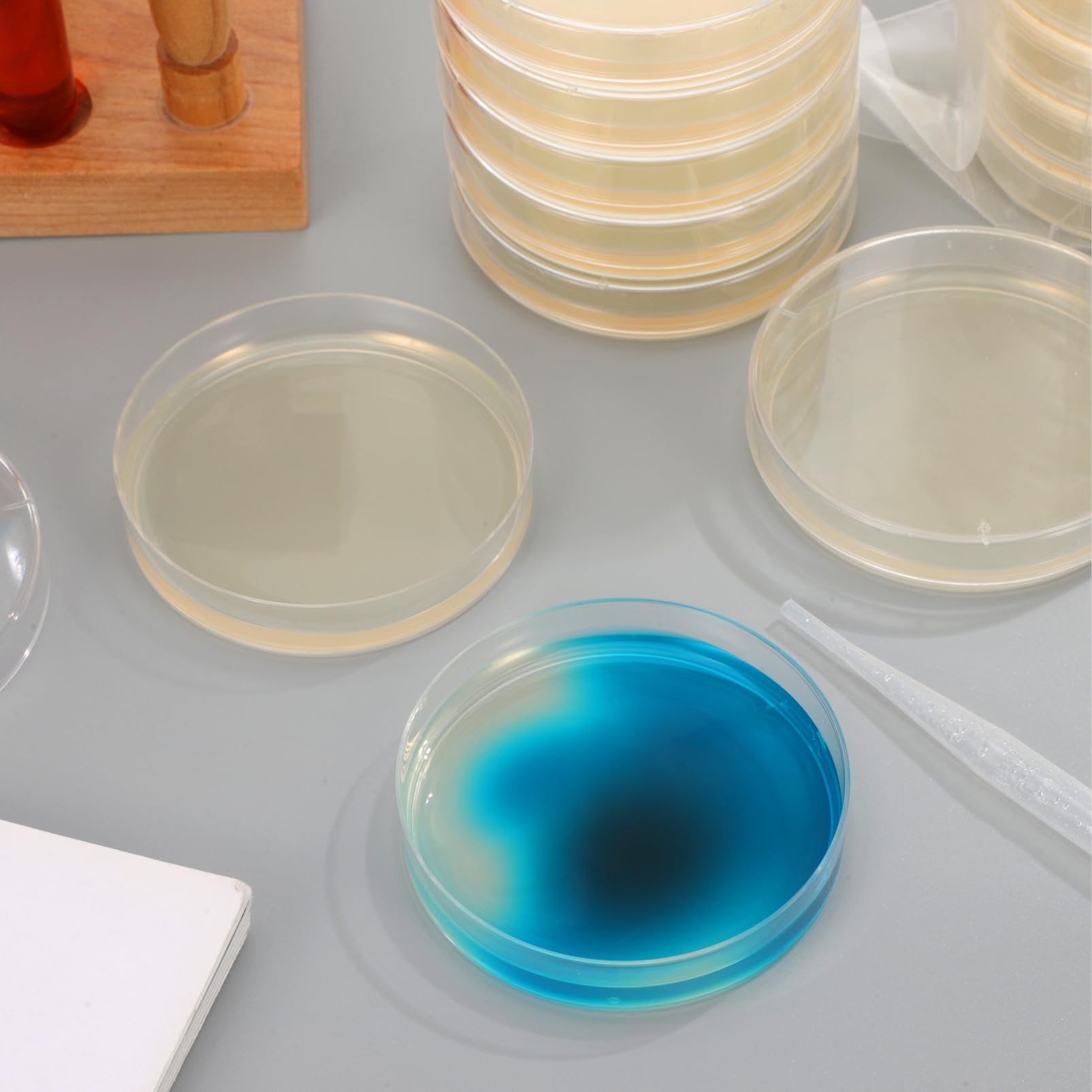 PartyKindom 3 Sätze Nähragarplatte Vorgegossene Agarplatten Ofen Agarplatten Für Das Labor Agarplatten-set Agarplatten Für Experimente Gemacht Agar-agar-pulver Laborglaswaren 20 Stück * 3