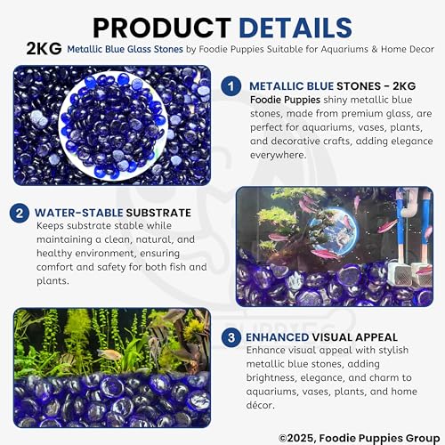 Image of Foodie Puppies Glass Pebbles Stones (2Kg, Metallic Blue) (2cm - 2.5cm) for Decoration of Garden, Plants Pots, Fish Tank, Aquariums, Tables Small Crystal Clear Flat Decorative Vase Filler Marbles