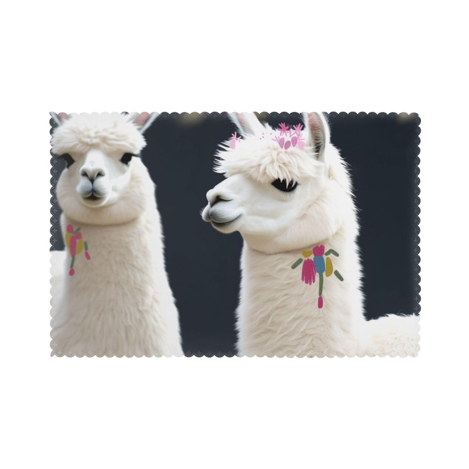 Alpaca Llama Printed Placemat Heat Resistant Place Mats Set of 6 PCS Washable Kitchen Table Mats, 12x18 Inch