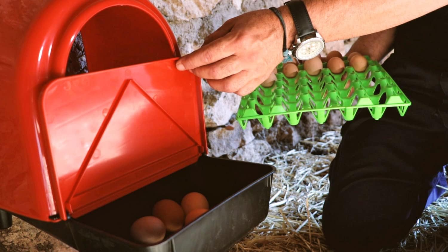 horizont Nido con deposito per uova, nido di pollo, in plastica, per un massimo di 6 polli, per montaggio a parete, nidi di legename per polli, grande scatola di ovaia, nido per pollame, accessori per