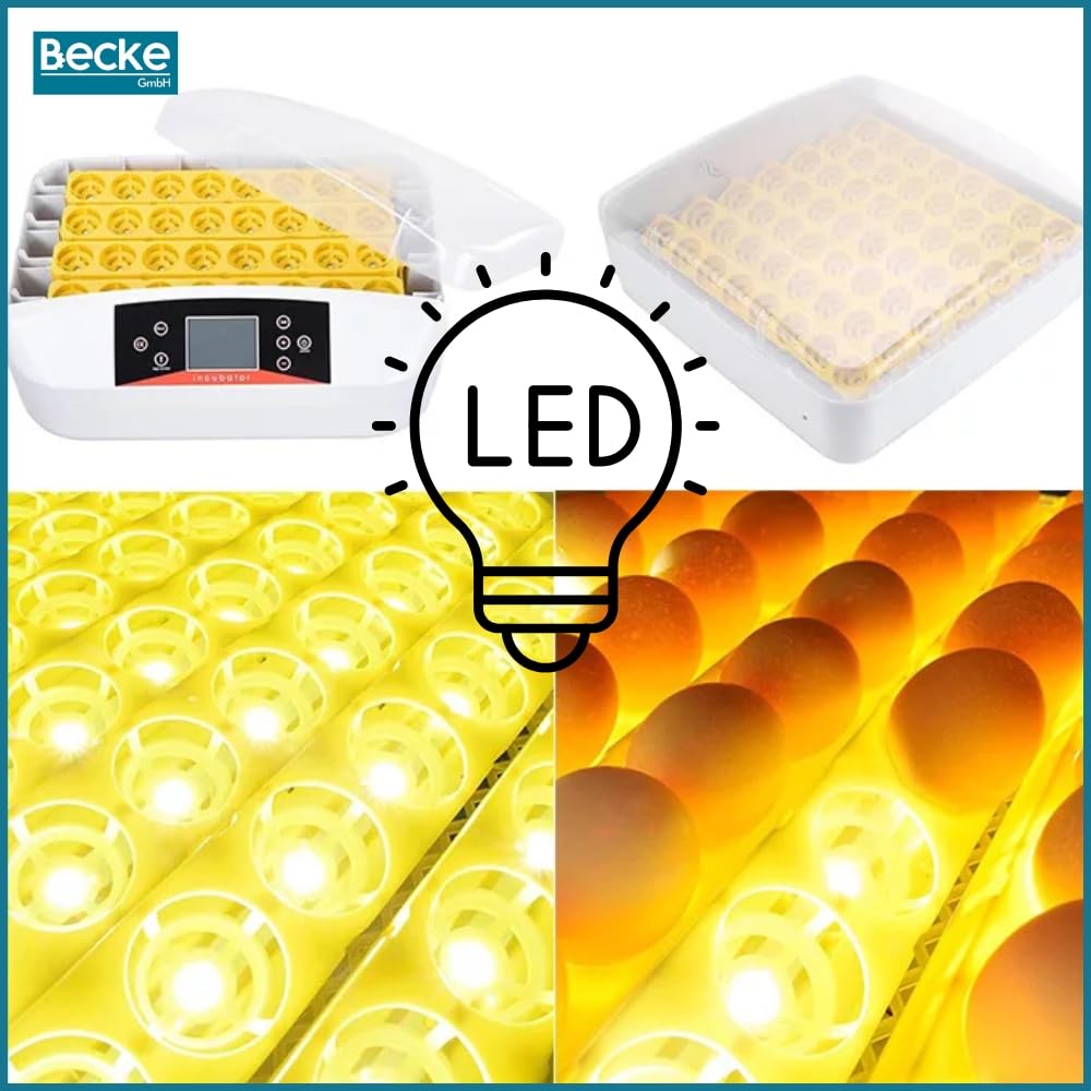 ZOLTA Automatischer Inkubator für 56 Eier LED Ei Tester Temperatur Feuchtigkeitsregler Alarm Hühner Gänse Wachteln Enten Drehfunktion Brutmaschine Brüter Brutkasten mit Display und Zubehör