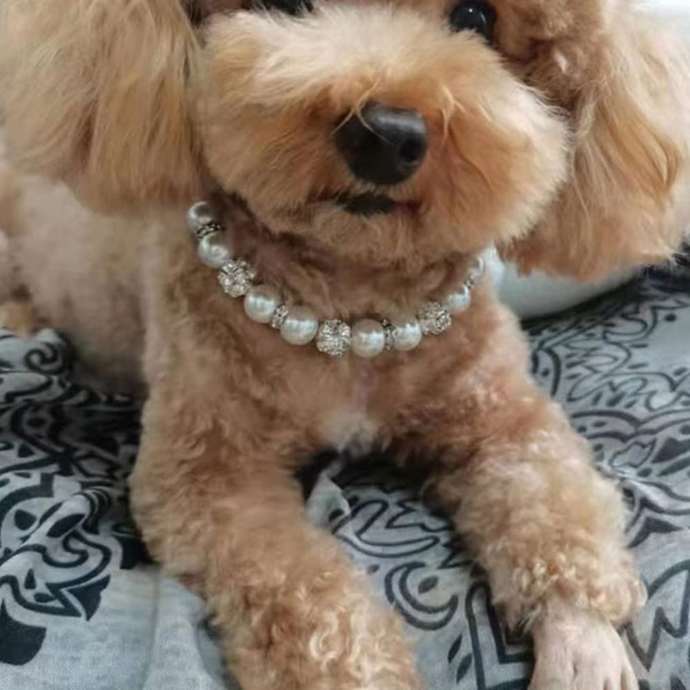 Gioielli regolabili della collana dell'animale domestico del gatto e del cane del collare del diamante della perla