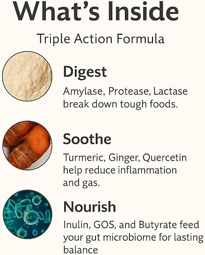 Miniatura 2 de Debloat Daily 3 en 1 Gomitas prebióticas, probióticas y enzimas digestivas  Apoyo digestivo para mujeres y hombres  Hinchazón ocasional, malestar