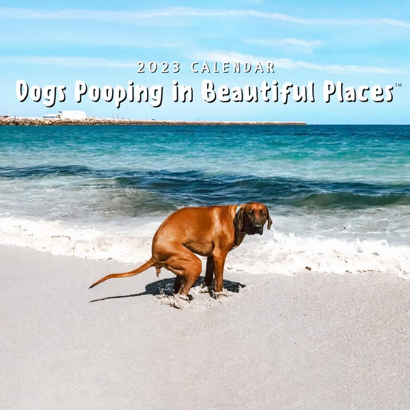 Amazon.com: Dogs Pooping in Beautiful Places 2023 Calendar: January 2023 - December 2023 Square Monthly Calendars, Funny Wall Art Christmas Holiday Gag Humor Gift Humor Prank Item 11x8.5 inches : Office Products Amazon.com: Dogs Pooping in Beautiful Places 2023 Calendar: January 2023 - December 2023 Square Monthly Calendars, Funny Wall Art Christmas Holiday Gag Humor Gift Humor Prank Item 11x8.5 inches : Office Products