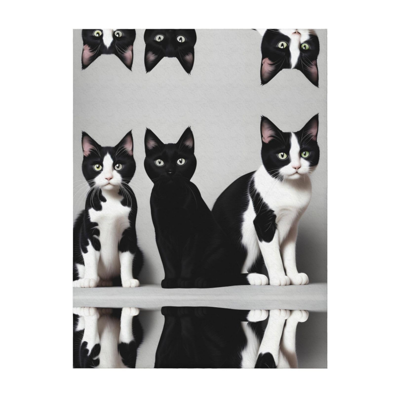Couverture chat noir et blanc pour lit et canapé de grande taille 152x203 cm