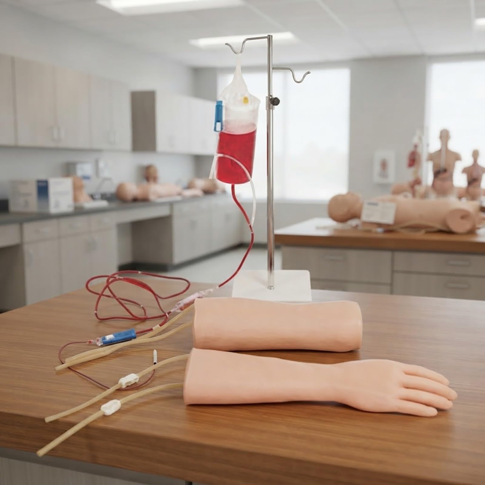 Modello di Addestramento per Fleboclisi Mano-Gomito, Kit Anatomia Umana con Valigetta Trasformabile in Banco, Regali Studente Medicina, Modello Anatomico Corpo Umano