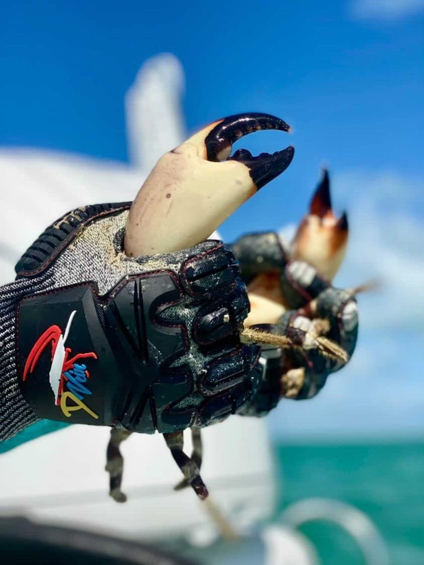 D Vein Lobster Gloves for Diving Kevlar Spearfishing Dive Glove Puncture Resistant