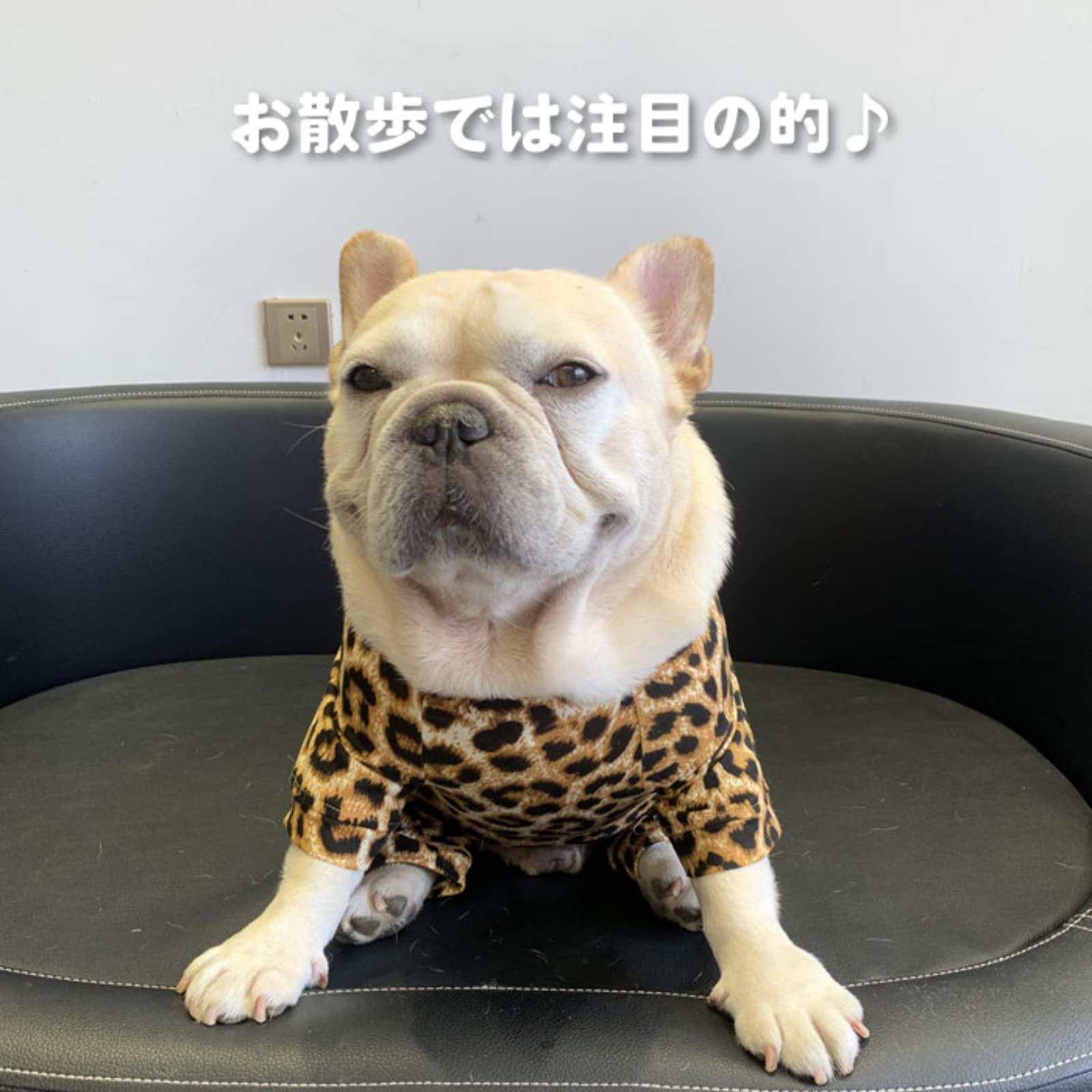 Amazon.co.jp: フレンチブルドッグ ペット おもしろ 犬 服 ロンパース
