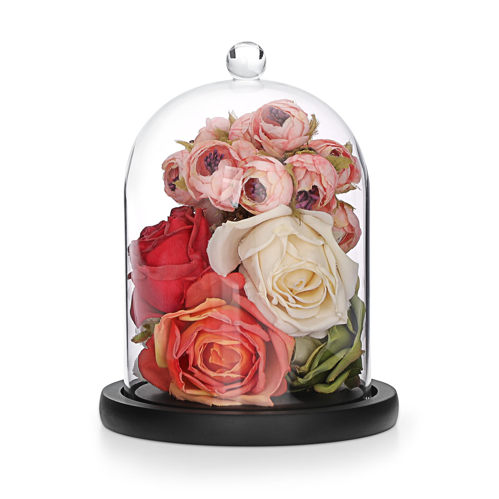 SUMNACON Glass Display Cloche Dome with Black Wooden Base & Globe, 12*15cm