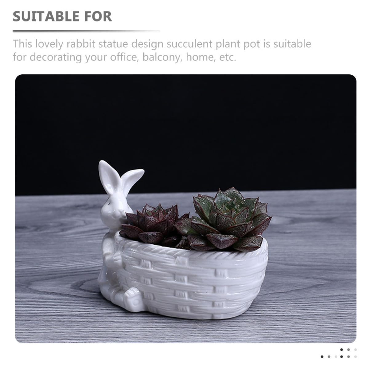 Happyyami 3 Szt Biała Doniczka Prezenty Biurowe Cukierki Do Biura Niebiesko-Biała Doniczka Małe Sadzarki Dla Zwierząt Duża Doniczka Kreatywna Doniczka Bonsai Sadzarka Ceramiczne Doniczki